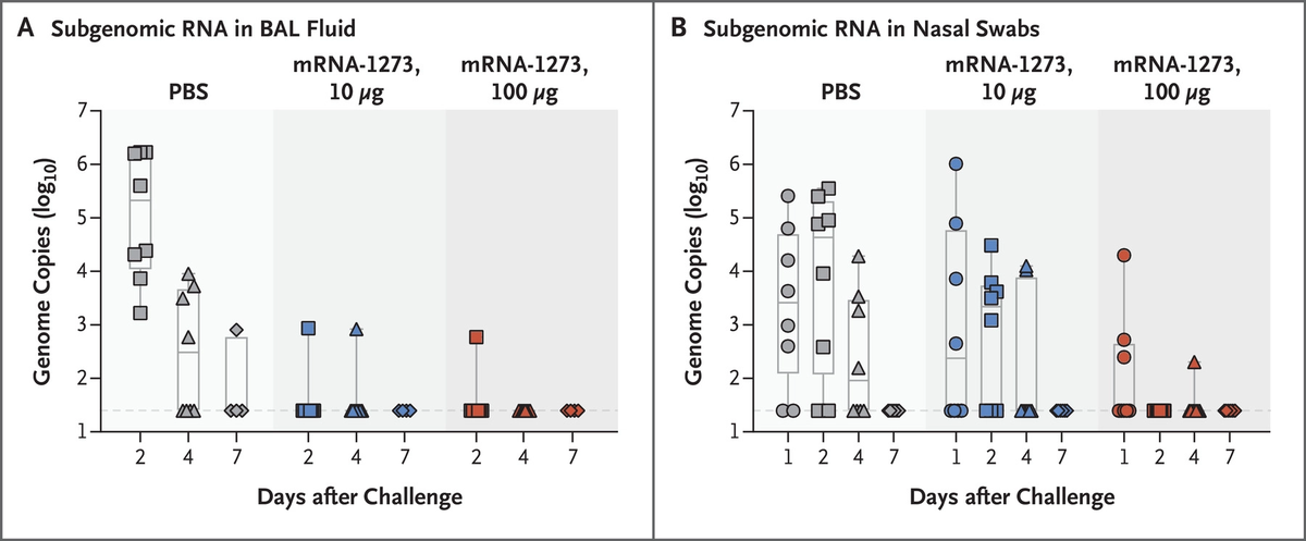 The animals were protected which bodes really well for this vaccine in phase 3 trials. The results are promising but...I'm not sure I'd call this "sterilizing immunity." Check out figure 3: