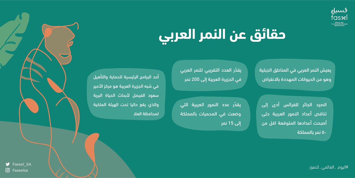 Faseel_SA's tweet photo. #اليوم_العالمي_للنمور 🐅 https://t.co/XjJUQCpd1V