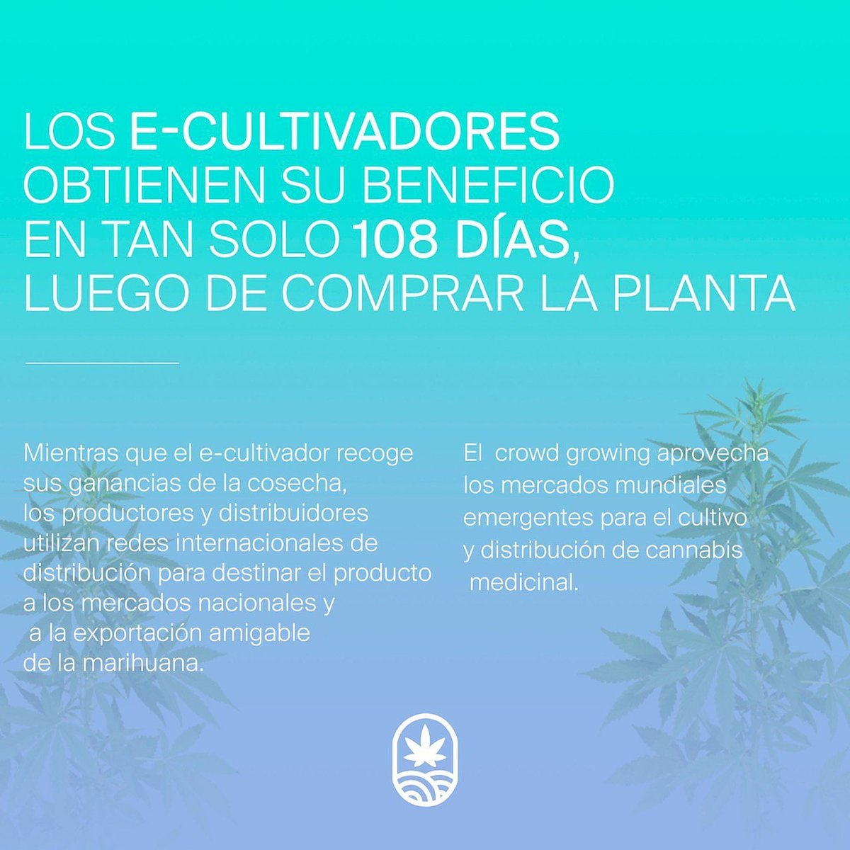 Así funcionamos, al menos con Juicy Flash, ¡la variante más rápida y barata!

#JuicyFields #mjlove #cannabiscommunity #cannabisindustry
#mj #mjbiz #marijuanalovers 
#weed #inversion #marihuanalegal #marihuanamedicinal #legalweed