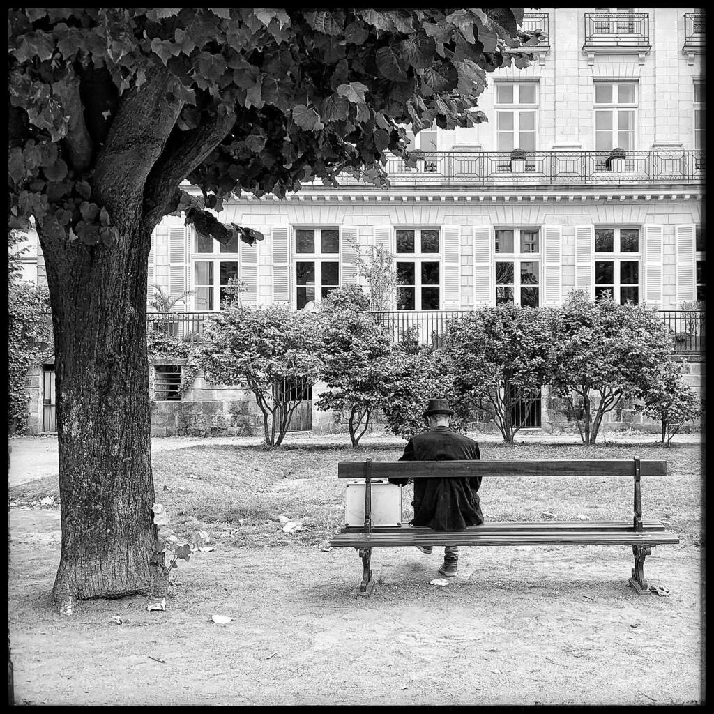 ced_robergeaud's tweet photo. 🌲🪑🎩🧳

#igersnantes #decorsdenantes #streetphotography #mobilephotography #outofthephone #grisonnantes #bnw_planet #bnw_bretagne #igersbretagne #bwoftheday #bnw #bnw_captures #bnw_life #bnw_globe #bnw_greatshots #nantespassion #nantesnoiretblanc #nantesbw #nantesmaville #… https://t.co/5ol0uSyLjM