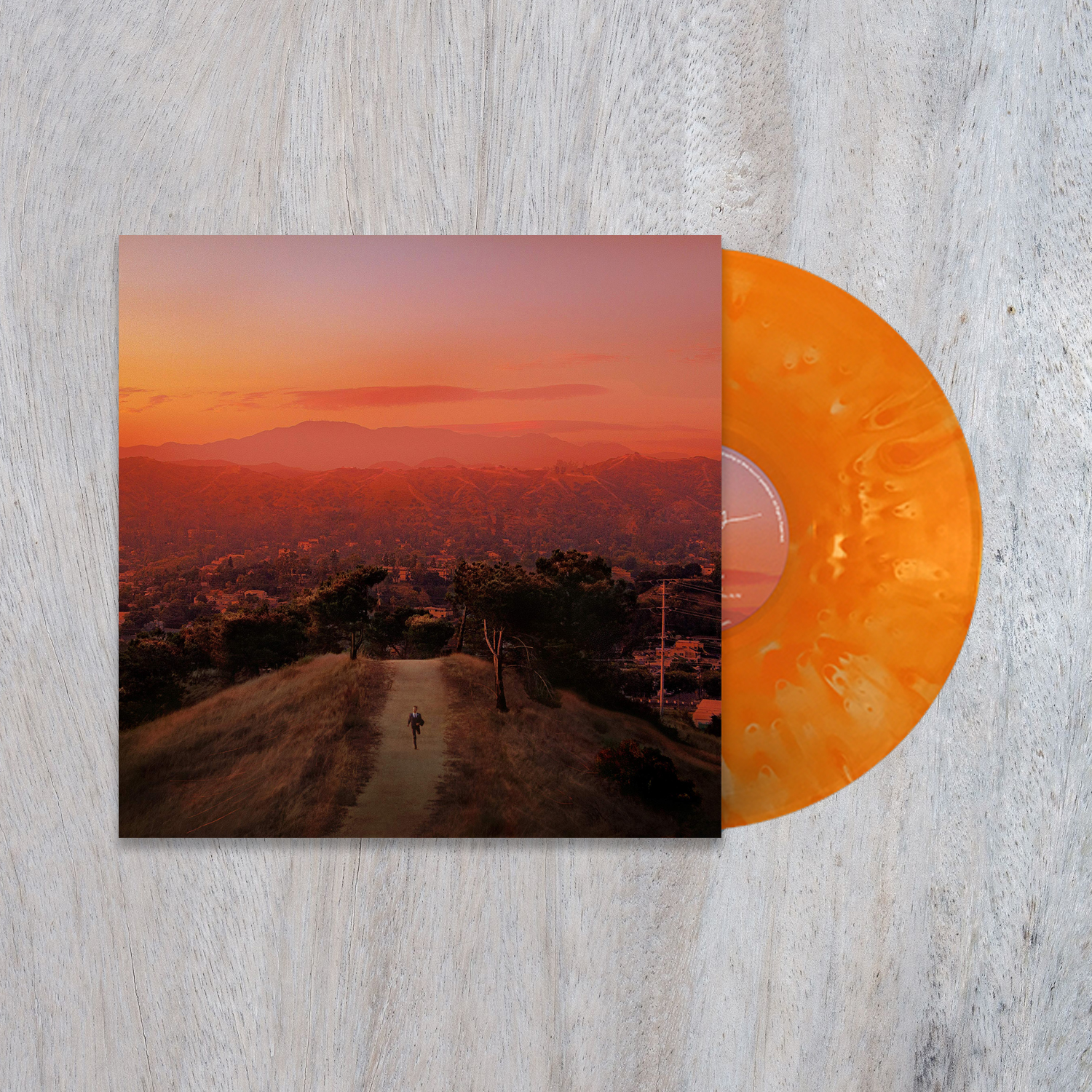 tykkelse Rafflesia Arnoldi Lure RL Records on Twitter: "SEALED Finneas Blood Harmony Cloudy Orange /300  RARE SOLD OUT VINYL https://t.co/pfGx9MPcQJ https://t.co/8cIBNgKmUO" /  Twitter