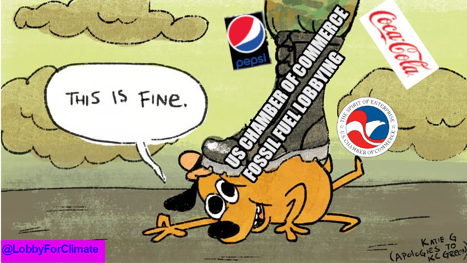 Tulane Green Club tweet media