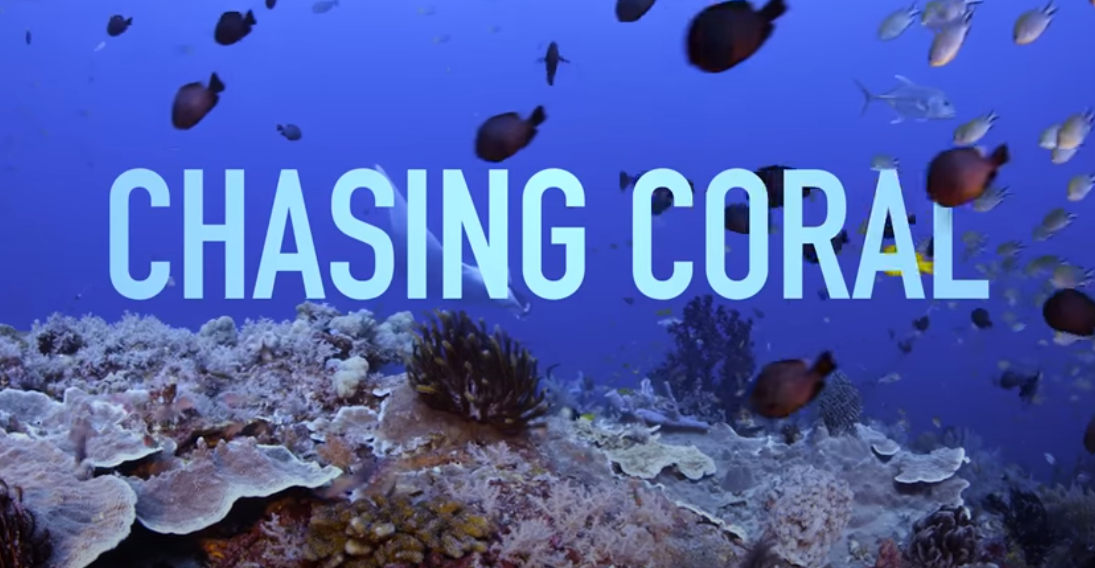 Chasing Coral the movie