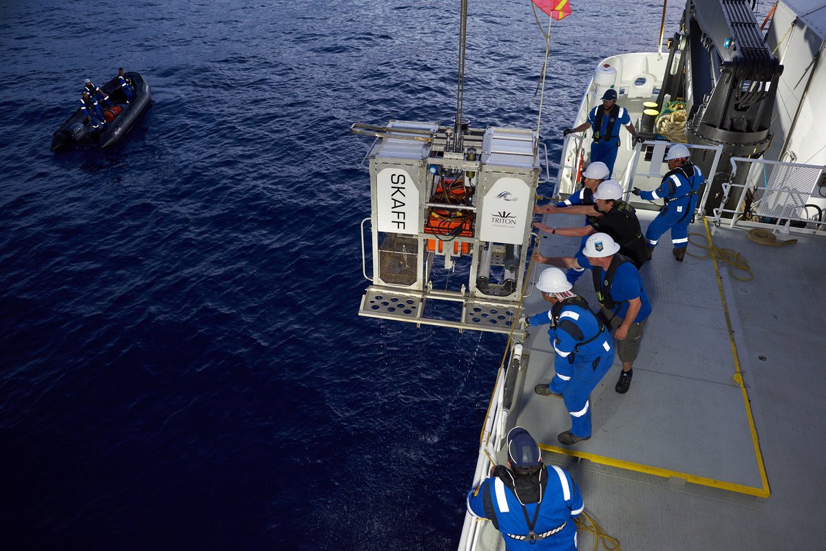EYOS Expeditions tweet media