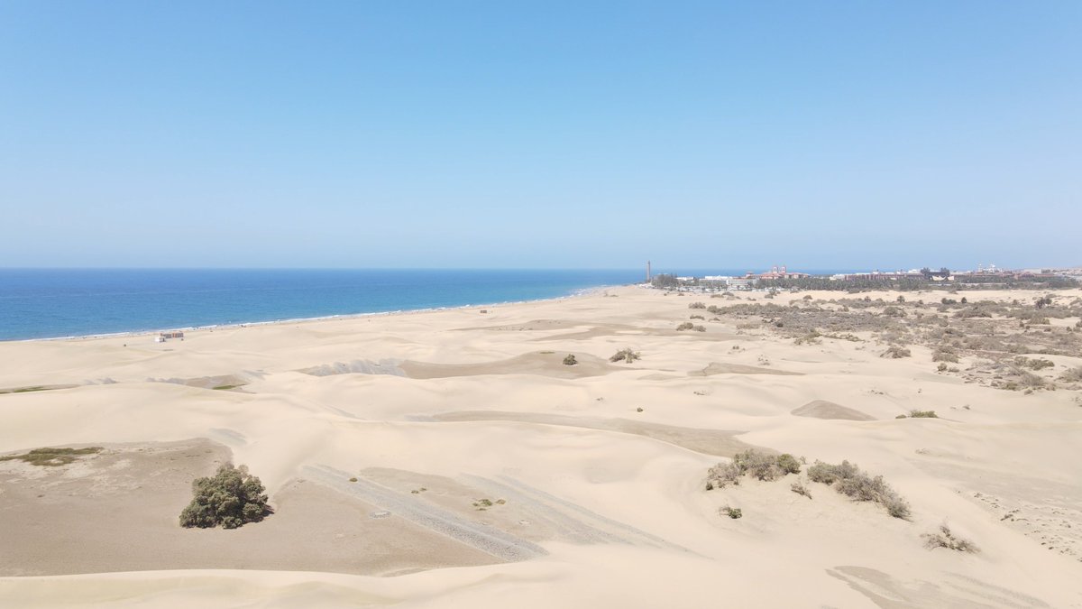 DiscoverID tweet media