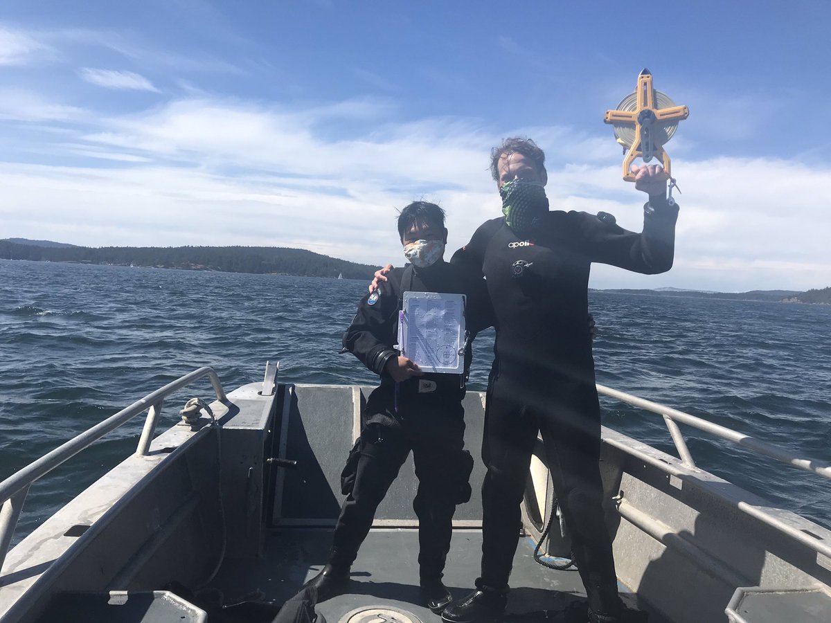 Ross Whippo 🏳️‍🌈 tweet media