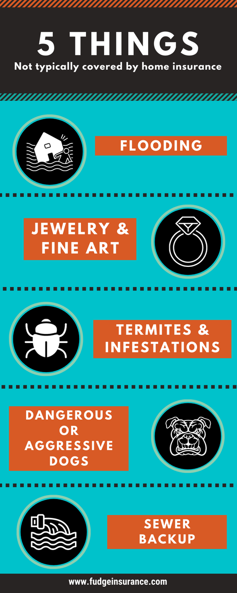 FudgeInsurance's tweet image. Have questions about these potential gaps in your coverage? Call us today to get more information. 407-965-4253