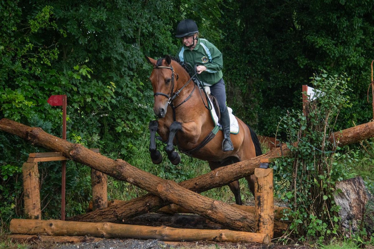 Equine Elite Ireland tweet media
