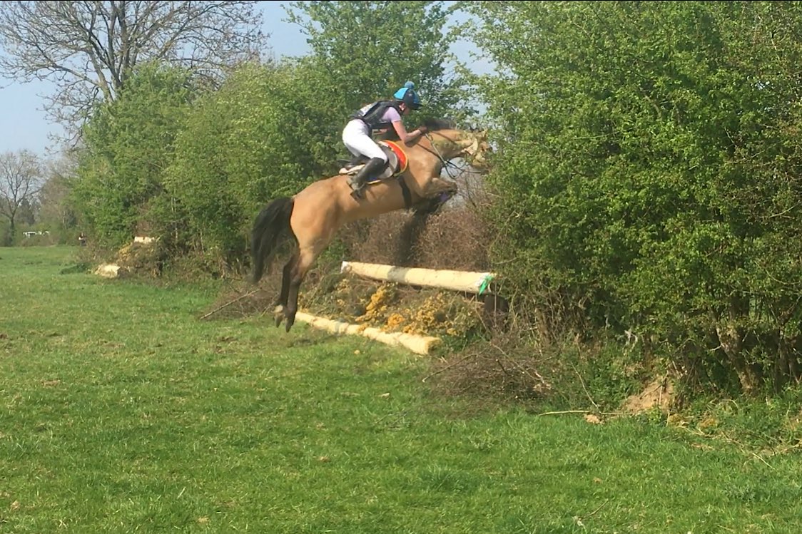 Equine Elite Ireland tweet media