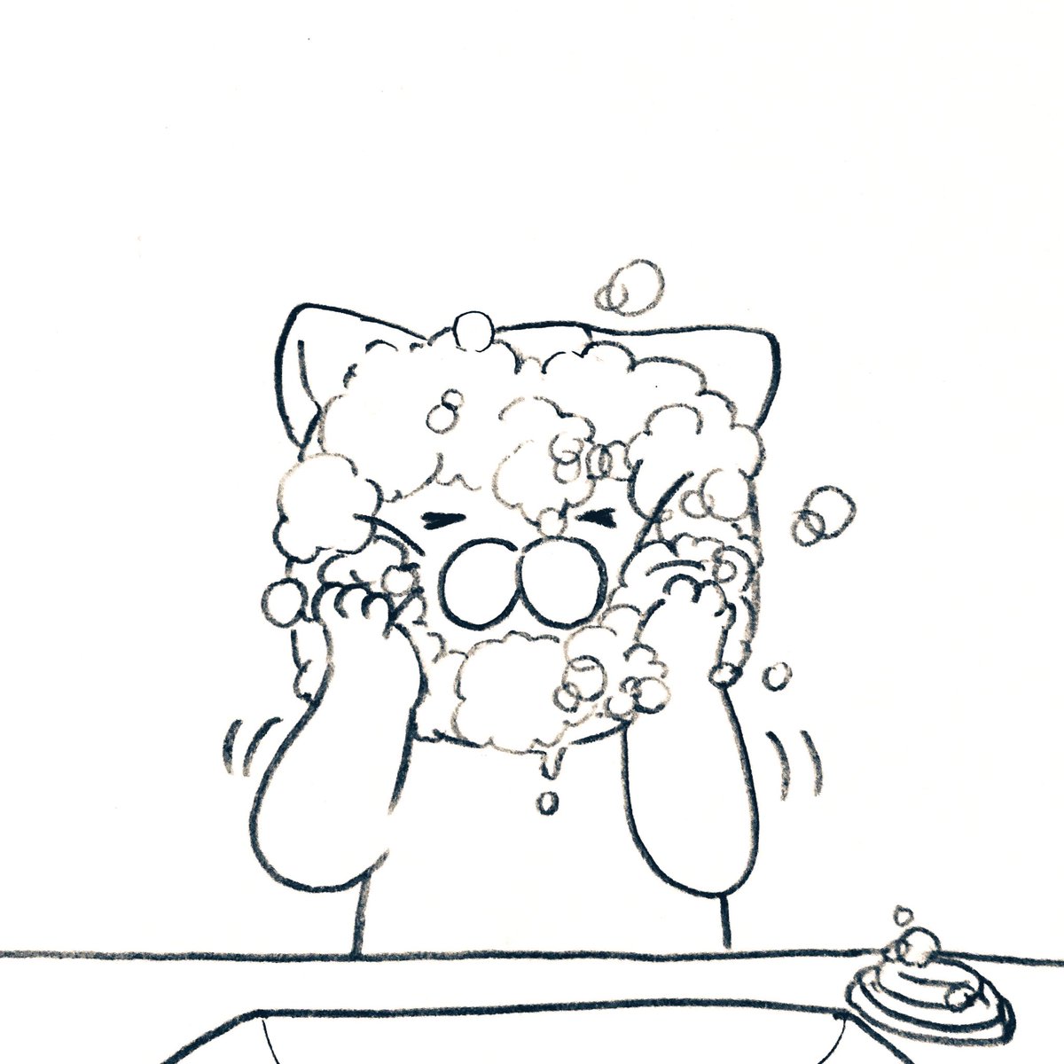 しっかり顔を洗うネコ 