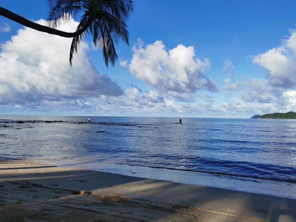 Jin85168388's tweet photo. タイの秘島【マーク島】
絶対に行ってほしい日本人の知らない絶景の離島

#穴場の離島 #タイの離島 #タイの島 #綺麗な海 #マーク島 #夫婦で海外生活 #バンコク生活 #タイ生活
https://t.co/yFmMgdJ8VG https://t.co/Hk9EgGbHtO