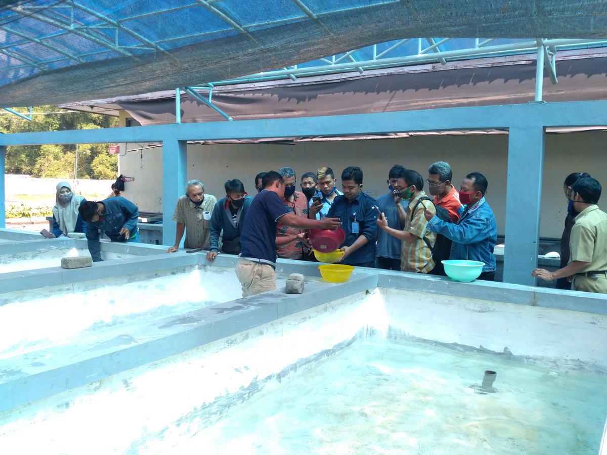 GarlinMaharani's tweet photo. Tetap berjuang untuk memberikan ilmu pengetahuan dan keterampilan kepada pelaku usaha pembenihan ikan di kab. Kediri, Penyuluh Perikanan Bantu siap membantu @puslatluhkp @bppp_banyuwangi @brsdm_kp @sjariefwidjaja @lapregiwati @Edhy_Prabowo https://t.co/mR0VEtwp4p