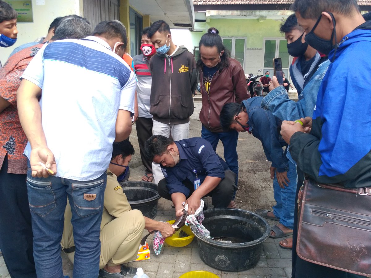 GarlinMaharani's tweet photo. Tetap berjuang untuk memberikan ilmu pengetahuan dan keterampilan kepada pelaku usaha pembenihan ikan di kab. Kediri, Penyuluh Perikanan Bantu siap membantu @puslatluhkp @bppp_banyuwangi @brsdm_kp @sjariefwidjaja @lapregiwati @Edhy_Prabowo https://t.co/mR0VEtwp4p