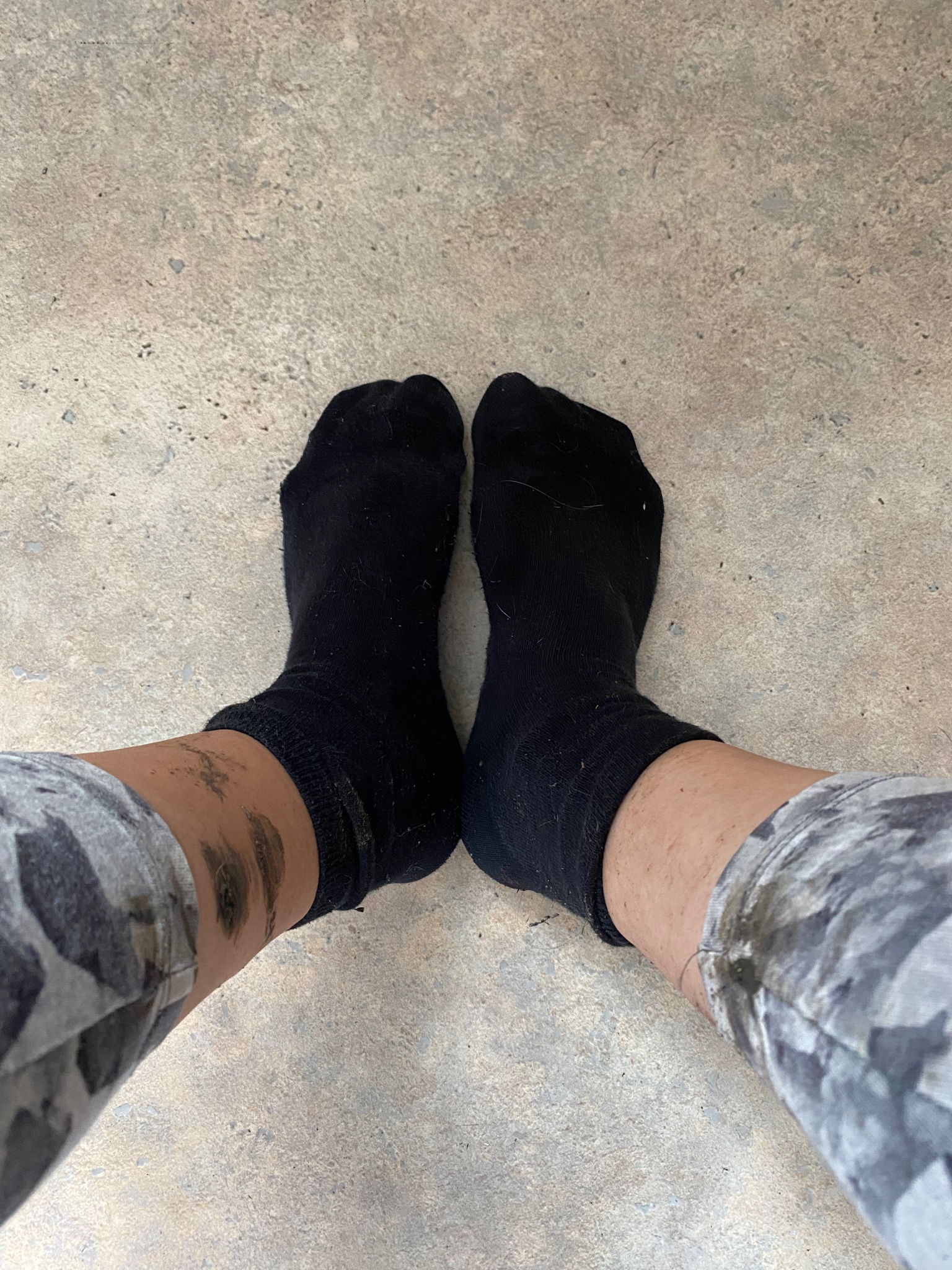 Dirty Sock Syndrome Trane Lawsuitcraigslist In Spartanburg Sc - 5g4cryo
