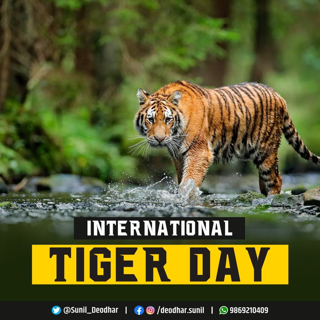 TouristGuideEKM's tweet photo. @rajnathsingh Welcome to the Land of Tigers https://t.co/9g0Qgckxtd