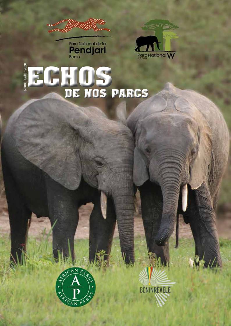 PendjariNP's tweet photo. Bonne nouvelle! Nous venons de lancer notre nouveau magazine "ECHOS DE NOS PARCS" contenant toutes les nouvelles sur la #conservation et les initiatives de #développement communautaires aux Parcs nationaux de la #Pendjari et du W Bénin. Lisez maintenant 👉 https://t.co/kpNuPyD61W https://t.co/UABBzu5KC6