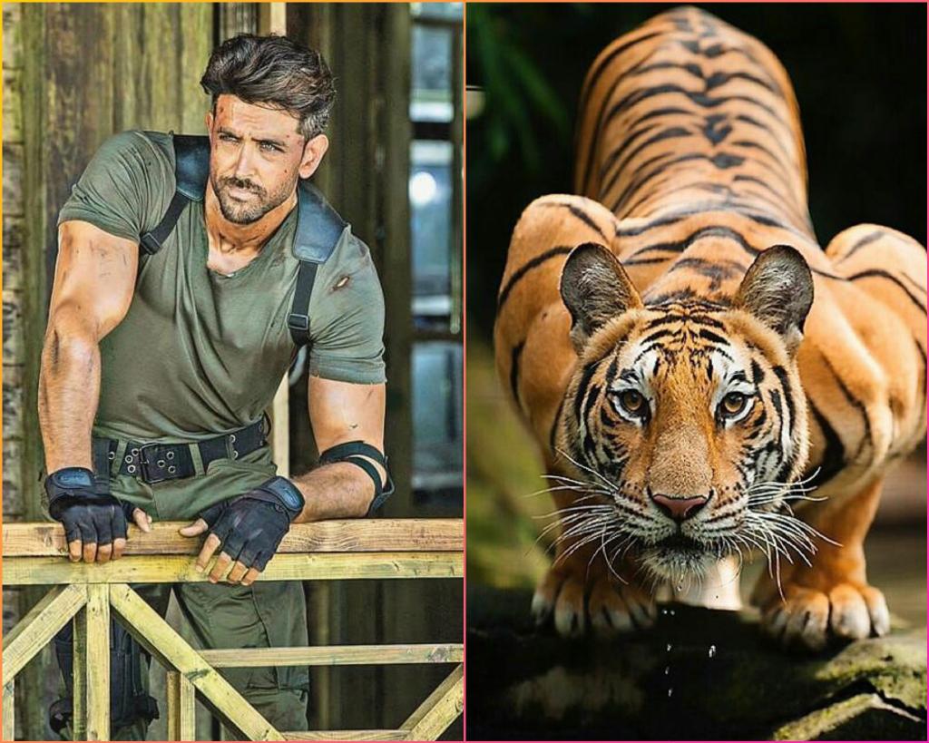 2. Beasts...look at the muscles!!