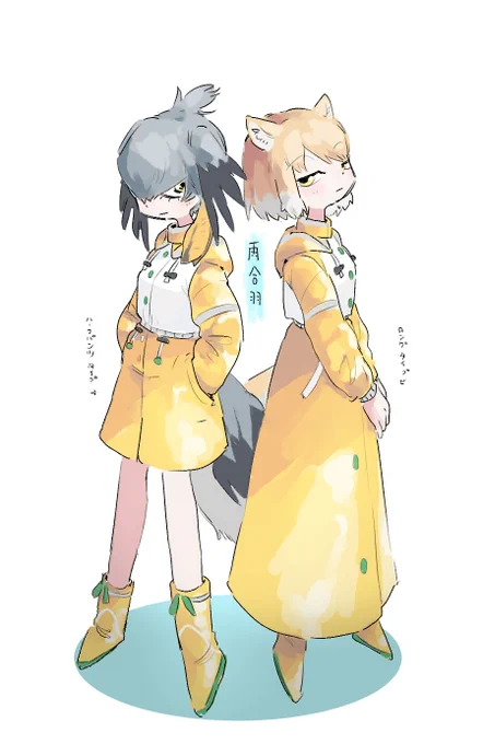 このタイプの雨合羽も欲しい? 