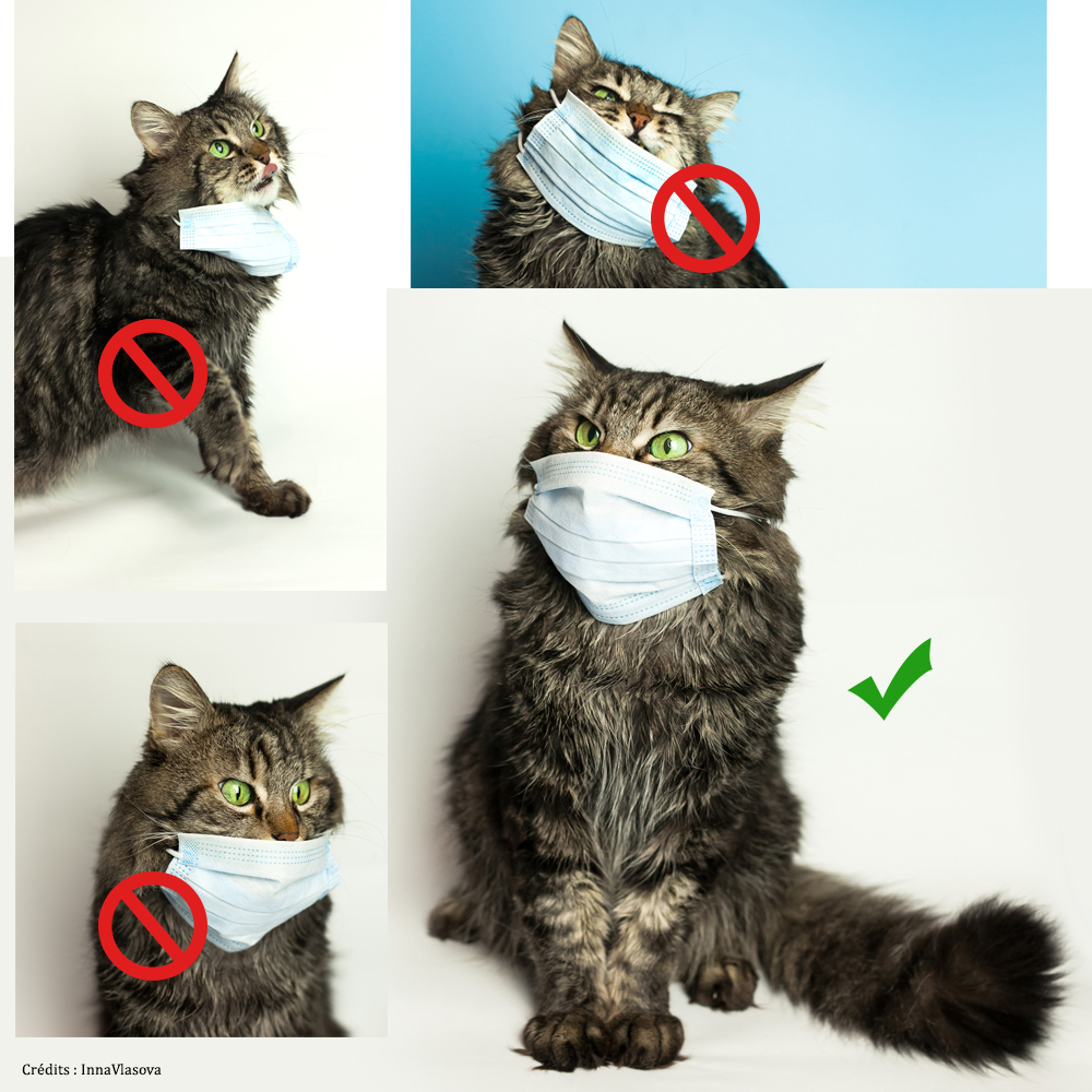 Le virus circule activement en ce moment en Haute-Savoie, soyez vigilant et portez votre masque !
#annecy #villeannecy #infojeunes #jeunesse #bijannecy #infojeunesannecy