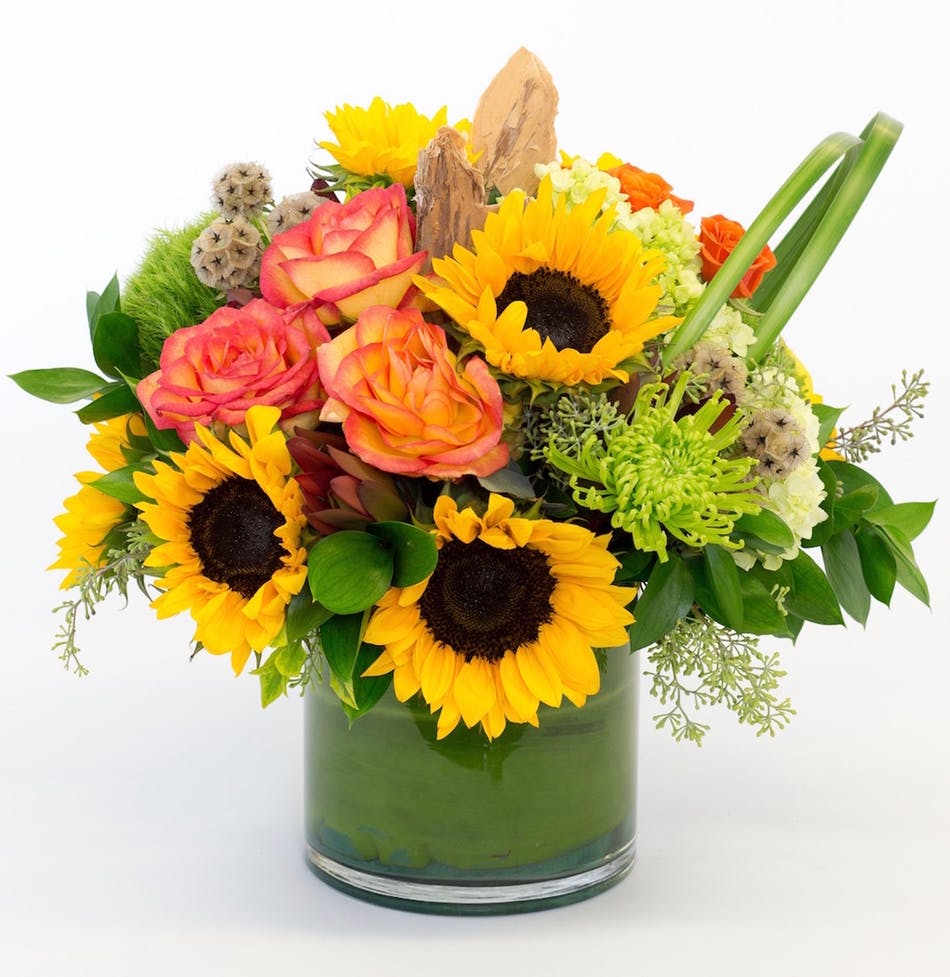 MayfieldFlorist's tweet photo. Near or far, brighten up your loved one's day with a beautiful bouquet from Mayfield Florist.
#santaritabouquet #sunflowers #roses #mayfieldflorist #besttucsonflorist #orderflowers #flowerdelivery #flowersmakeushappy https://t.co/48x8vAPLwi https://t.co/CL47lD7n2Y