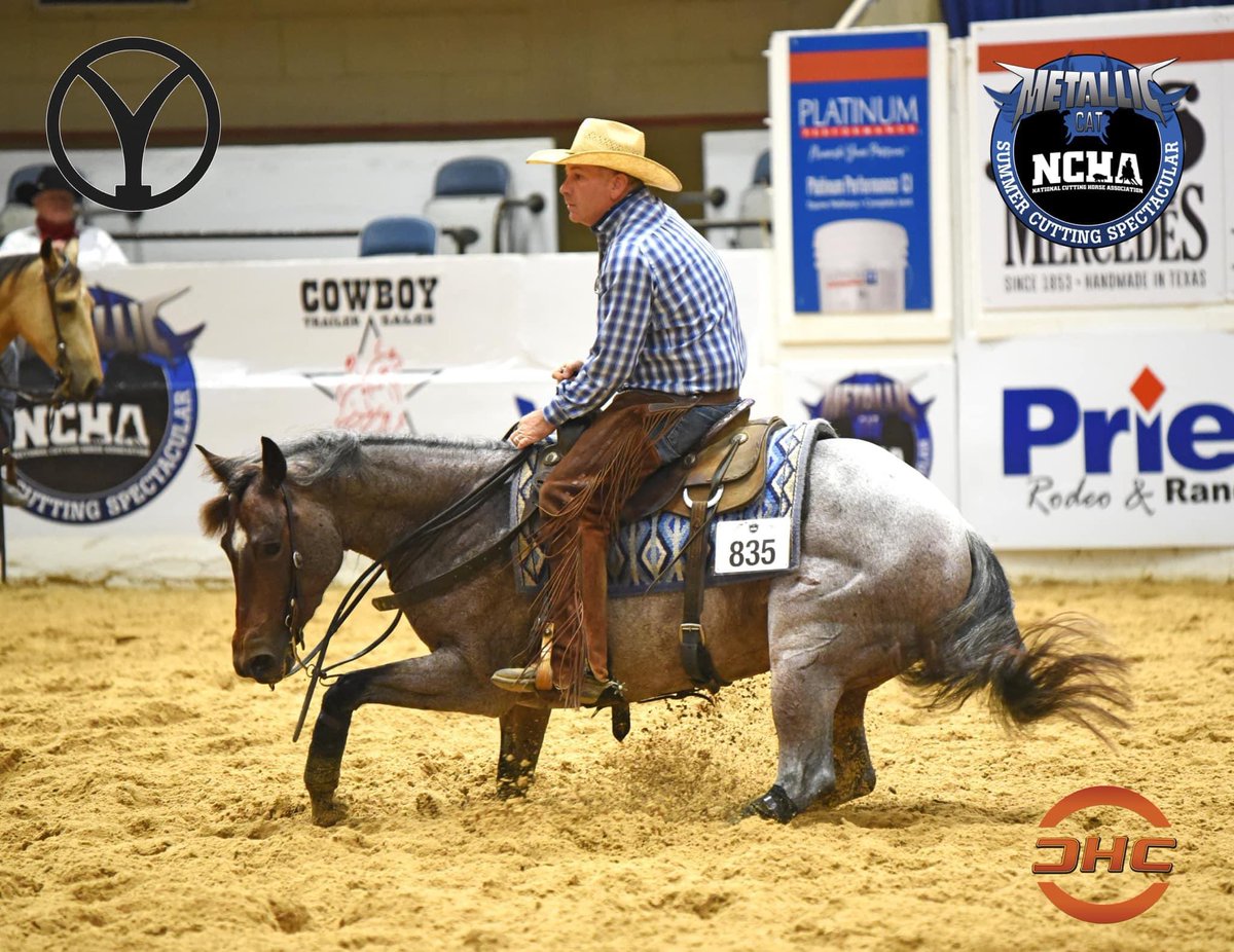 PHorseCentral's tweet photo. Bill Cowan and Sweett Chaos marked a 223 in the #NCHA #MetallicCat Summer Spectacular 4-Year-Old Intermediate Non-Pro Finals to take home the Championship! Thanks to Circle Y Ranch for the update! https://t.co/UHm41T3xrp