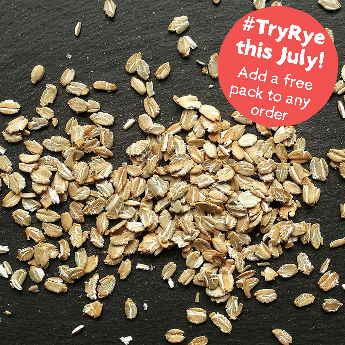 Hodmedods's tweet photo. #TryRye this July! Add a free pack of Organic Rye Flakes to any order on our website till 31 July. Find details in our newsletter, just out. Plus Sussex coriander, progressive farming at Wimpole Hall, bean &amp; lentil tacos and more. Read it &amp; subscribe 👉https://t.co/ZQAxXOfrI8 https://t.co/jgpvMw6nGZ