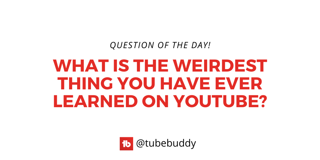 TubeBuddy's tweet image. Leave your answer below!