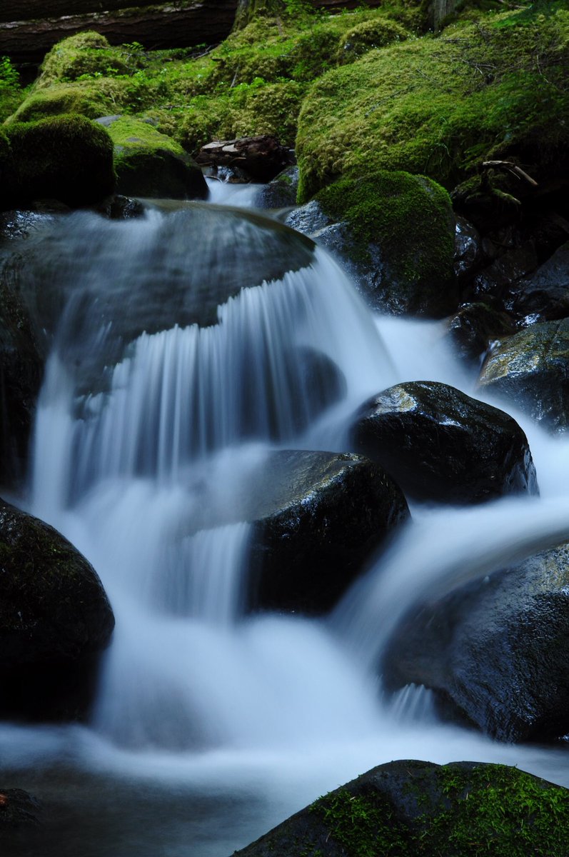DonClotfelter's tweet photo. Waterfall Wednesday along White River, WA
#greenwater #sr410 @wsdot_tacoma
@ShannonODKOMO @CascadeDistrict @ShannonODKOMO @ErinMayovsky #nationalforestservice https://t.co/lWizYpfduy
