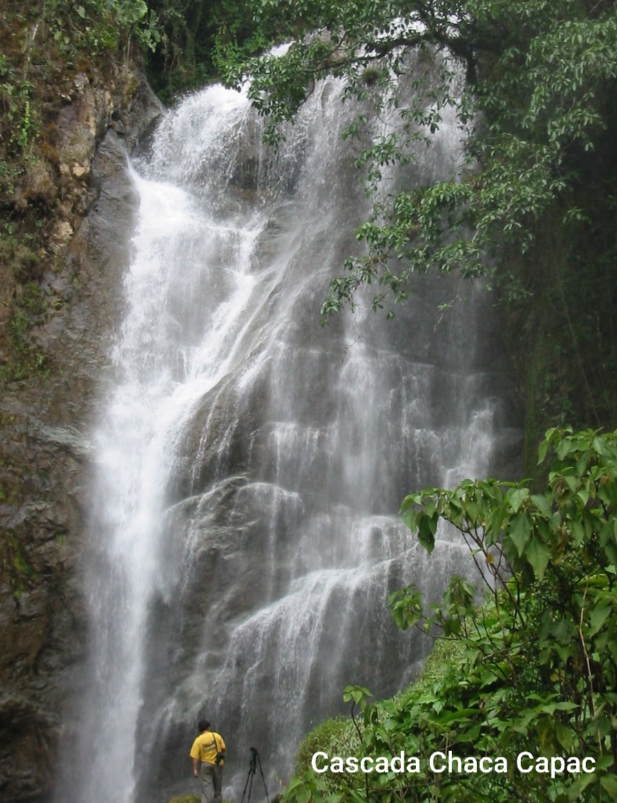 viajandox's tweet photo. Zaruma, Sultana de El Oro, Pueblo Mágico y Patrimonio Cultural de Ecuador. Es una de las ciudades más antiguas y encantadoras de #Ecuador.
Posee hermosos paisajes, cascadas y cerros.
Te invitamos a conocer más sobre #Zaruma en 🔗 https://t.co/Ju4qOeZvLK
#ElOro #viajandox https://t.co/Pvm1MuZLPy