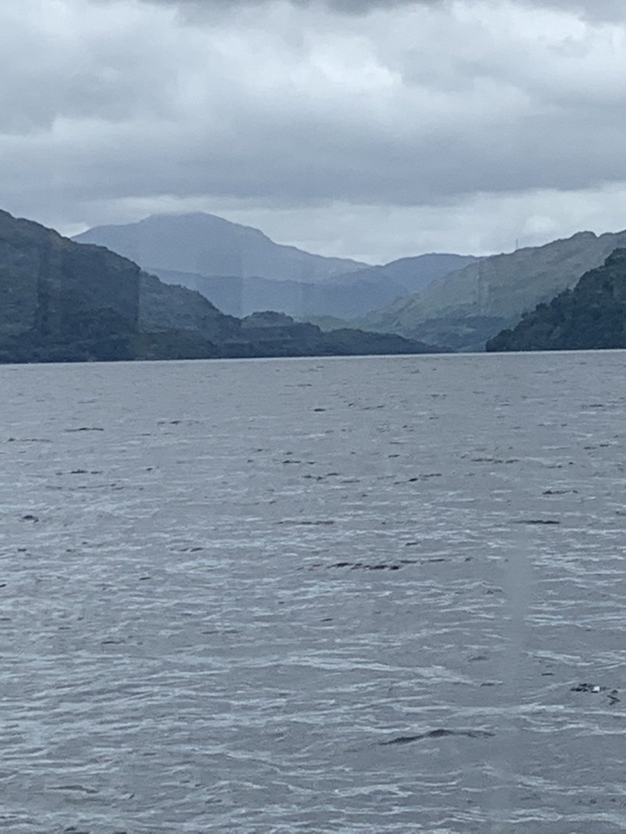 face_collie's tweet photo. Loch Lomond cruise. #lochlomond https://t.co/zpqUJ1O4NT