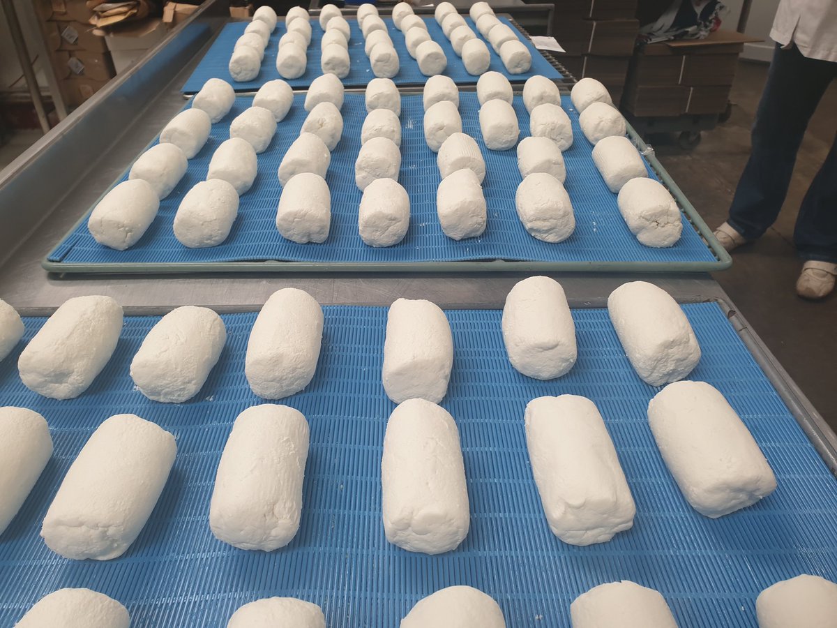 RibblesdaleC's tweet image. Some pretty #goatashlogs being made, ready to be brushed with ash. They seem pretty content little beasties at the moment, but give them time, they will start asking for music to be played to them.