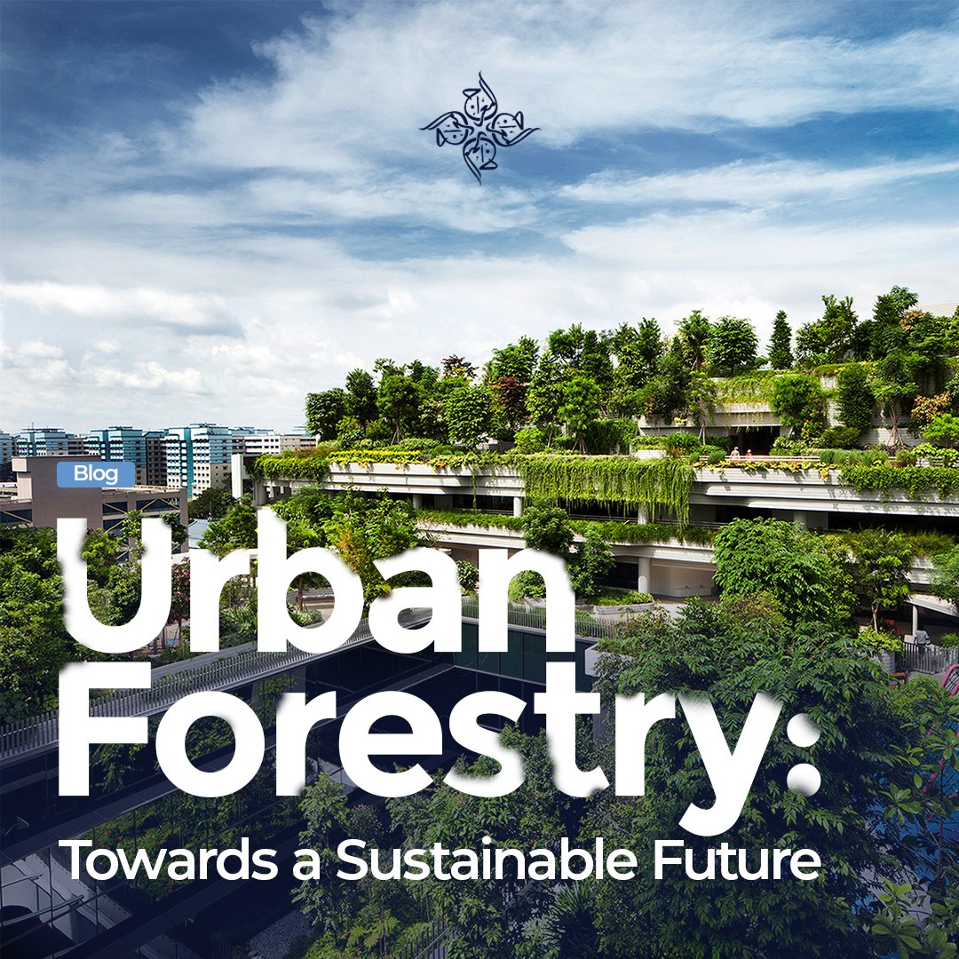 AlMiraj_Group's tweet photo. The future is urban forestry.
Integrating real estate development with eco-friendly solutions will play a role in helping the environment breathe again.
Read the full blog here: https://t.co/NwhOorZfXV

#DevelopmentAndSustainability #UrbanSustainability #Climate #Nature https://t.co/Sv7jYH6C78