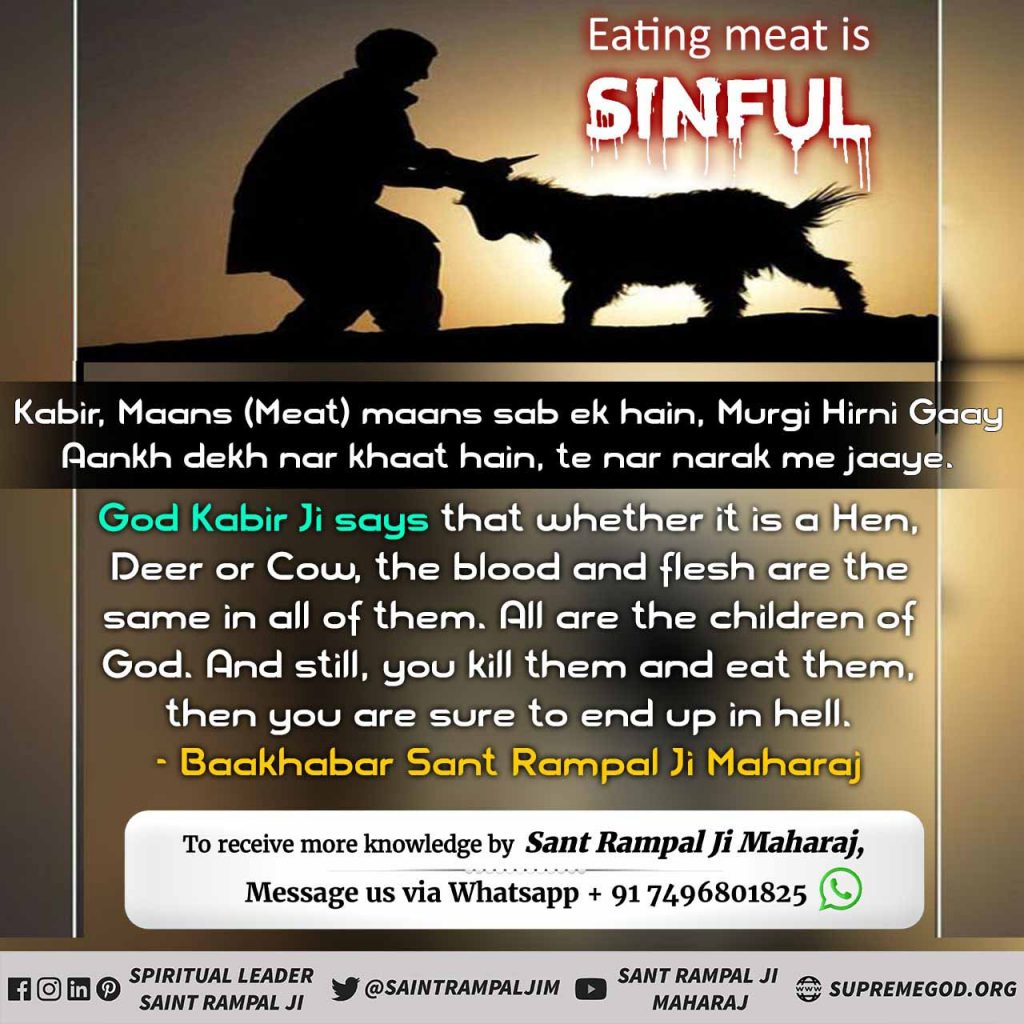 God never allowed to eat meat.
Supreme God Kabir Ji Has condemned both Muslims and Hindus on the practices and rituals of meat eating and following arbitrary orthodox practices.
#AllahDoesNotNeedQurbani #secondwave