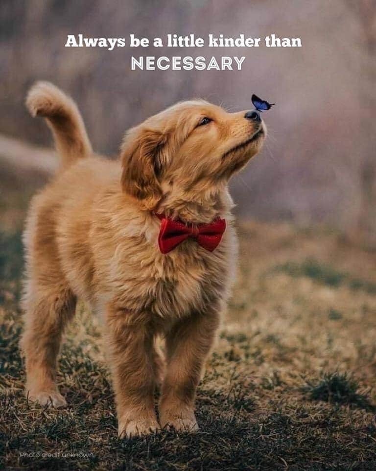 Beth Burrell tweet media