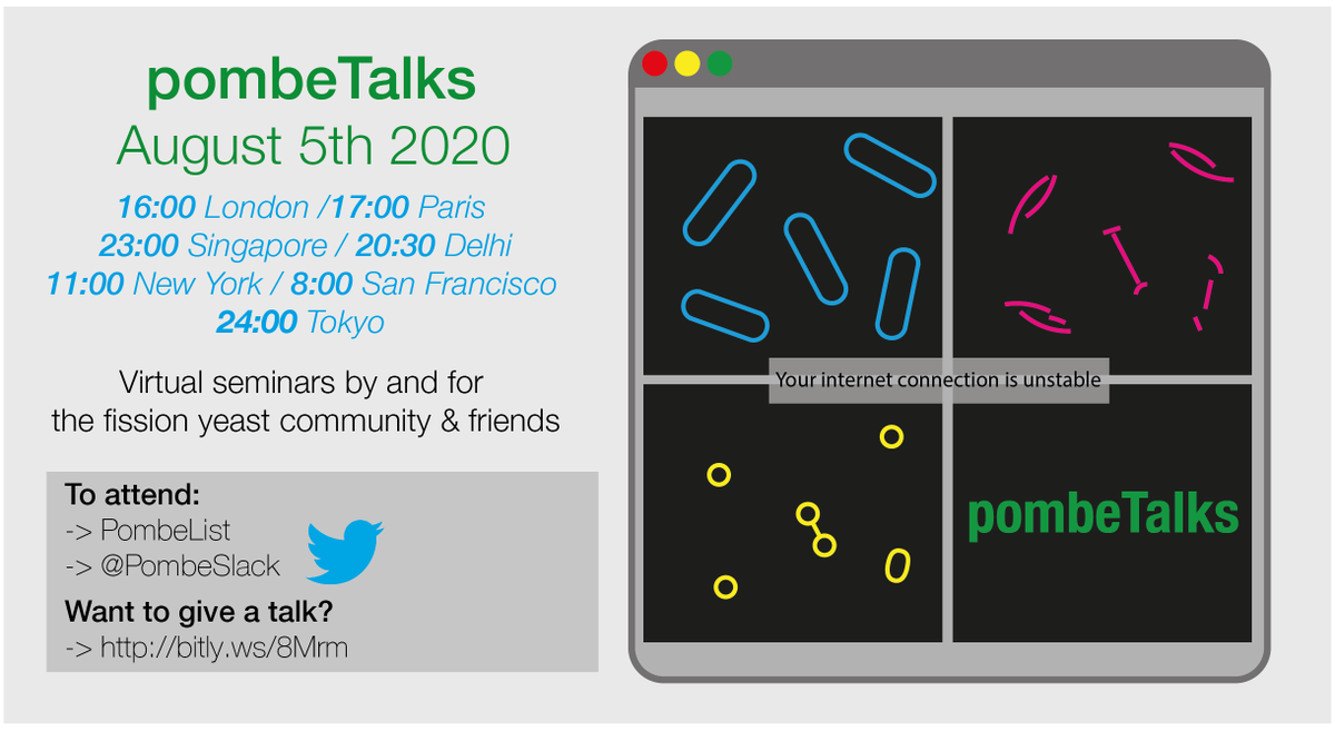 Dey_Gautam's tweet photo. #pombeTalks season 1 episode 8 coming up next week Aug 5th! 16:00 London | 11:00 New York with Ivan Surovtsev @LuskingL &amp; Feng Li from the Levin lab - Zoom details by email as always! Not on pombelist, want to give a talk in the autumn?  https://t.co/kZ6zYWsUQa https://t.co/TC36wulYow