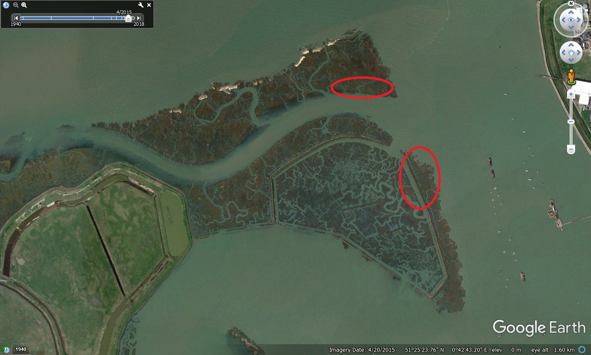 ... with a smaller number choosing just south of the creek on the Tailness saltings (aka West Point).Waders will usually have favoured sites, but with two or three back ups for all parts of their tidal routine- and they need them.4/12