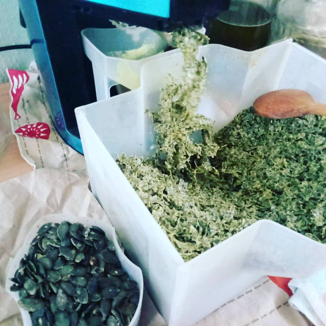 atcostel's tweet photo. Cold pressed oil from pumpking seeds, made at home AtCostel guesthouse. #coldpressedoils #plantbasedfats #plantbasedoils #coldpressedoilsph #homemade #coldpressedoil #plantbasedoil #pumpkingseeds #moldova #plantbasedoils #pumpking #oilpressmachine #oilpress https://t.co/kW9aNLHJIM