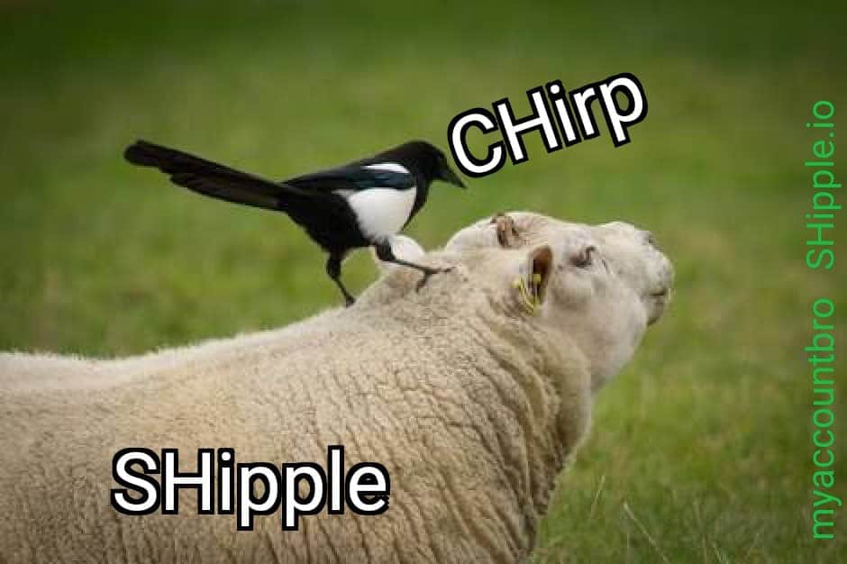 Shippleio's tweet photo. Iain made a meme.
It makes an alarming ammt of sense somehow...
If you arent on the @chirpdapp waiting list yet... just DO IT NOW. Its gonna be lit.
#shipple life
https://t.co/aasYoRWbW0 https://t.co/3DCpqxoABo