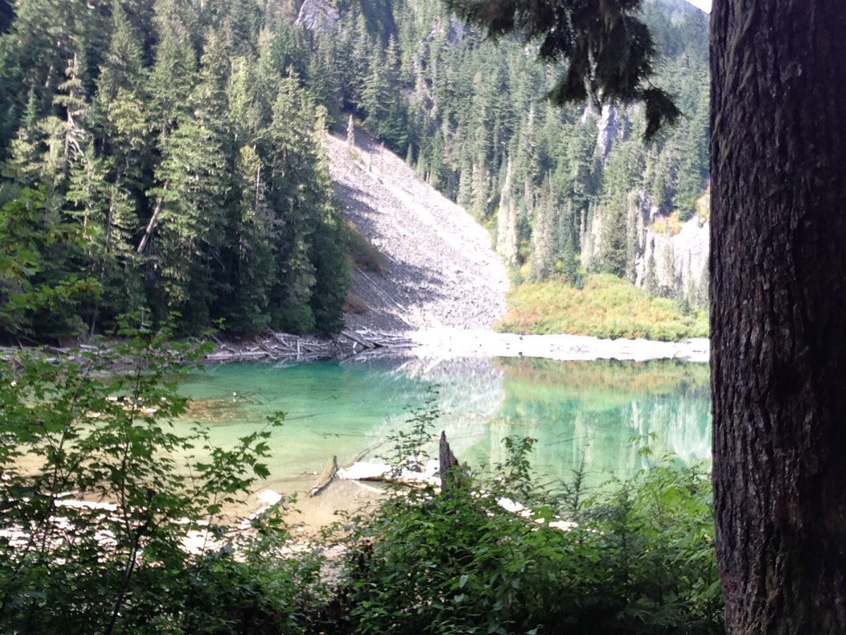 What #forests & especially #OldGrowthForests Mean2Me is (+) mental health & wellness 4 my today & AllOurTomorrows. #SaveOldGrowth by putting a moratorium on logging the last remaining old-growth @jjhorgan @DonaldsonDoug @bcndp @BCGreens @bcliberals @Conservative_BC @SierraClubBC