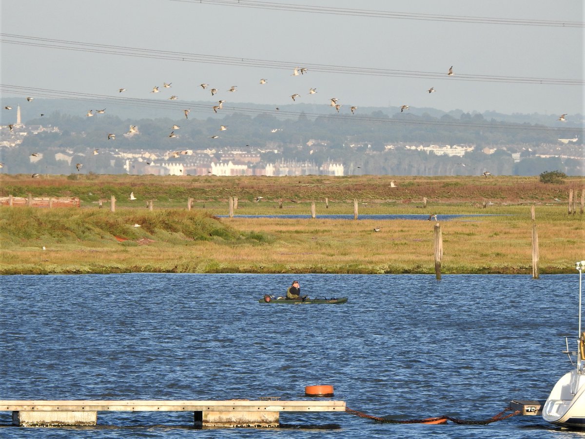 Trying not to get worked up about disturbance - a thread1/12