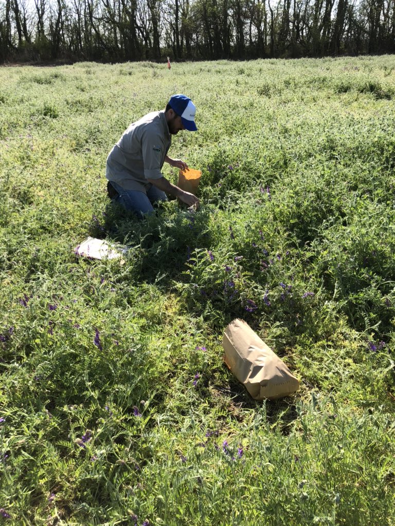 AgroExperimental tweet media