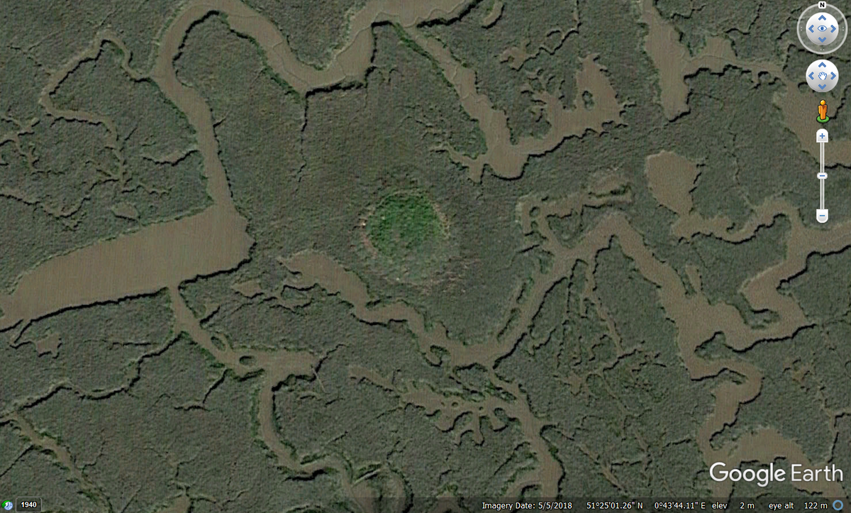 Of course, also easy to think birds have plenty of choice on an estuary like the Medway. But even a larger salting like Tailness now tends to go under on higher springs (study Google Earth for lush vegetation- they're usually the only dry patches left on a spring tide)8/12