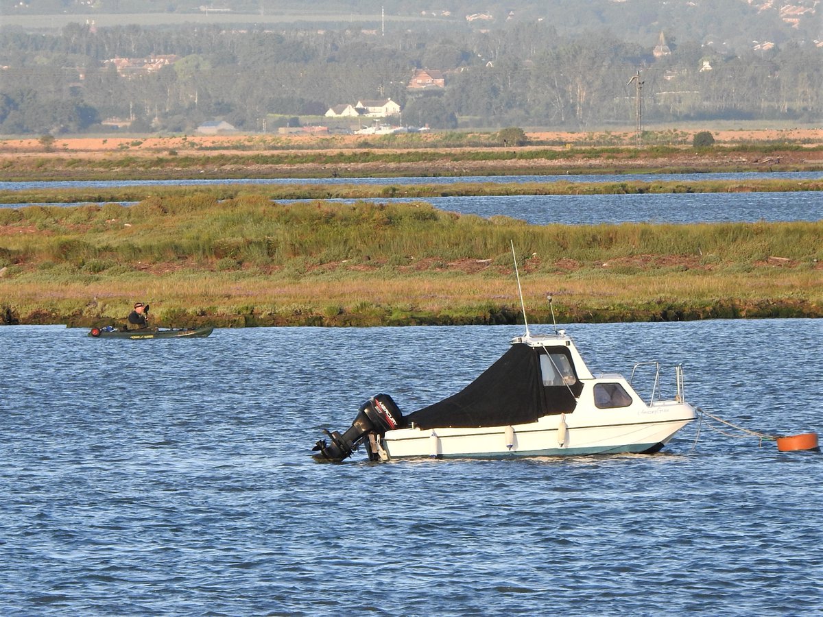 Medway lacks decent signage on important roosts- and the  @birdwisenk Codes are still new, with many not yet familiar with them.Why I don't get angry at every disturbance event. One like today just resolves me to keep chatting birds with as many estuary folk as I can.12/12