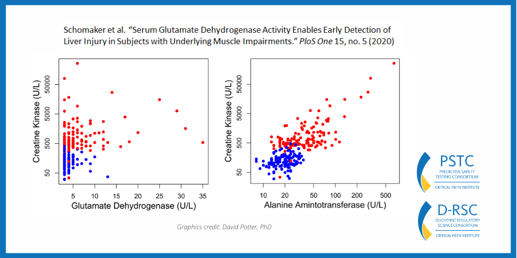 CPathInstitute's tweet photo. C-Path’s Jane Larkindale, Nick King &amp; @JMSauerPhd are among esteemed authors published in @PLOSONE re: #glutamate dehydrogenase and its potential as a safety and diagnostic #biomarker for early detection of liver injury in patients w/muscle conditions. https://t.co/cQW45B474i https://t.co/WXbbIXhXAn