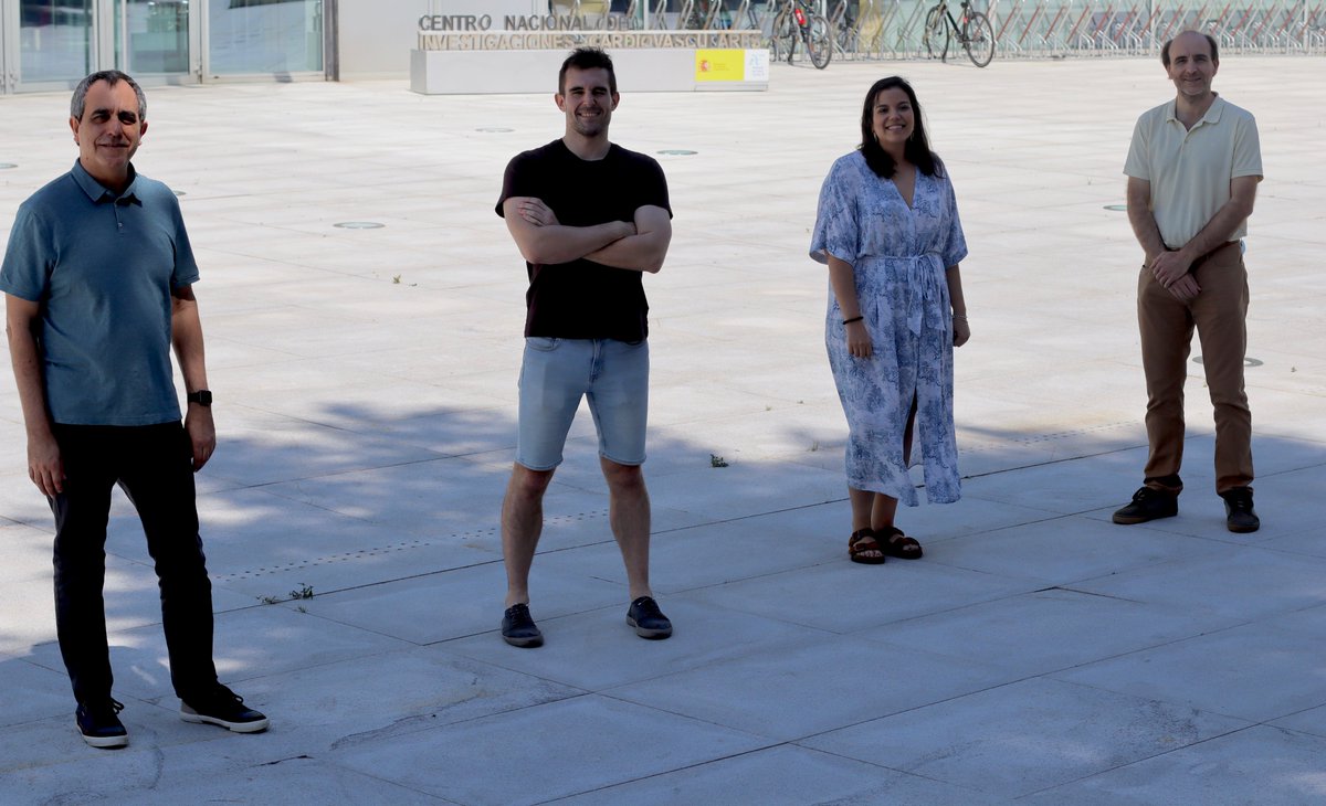 Great part of the ideas and work are from Pablo Hernansanz-Agustín, who started it during his PhD and continued as a postdoc.Also great work from  @CarmenChoyaFAnd a fantastic collaboration with  @GenoxphosLab led by Dr. José Antonio Enríquez2/n