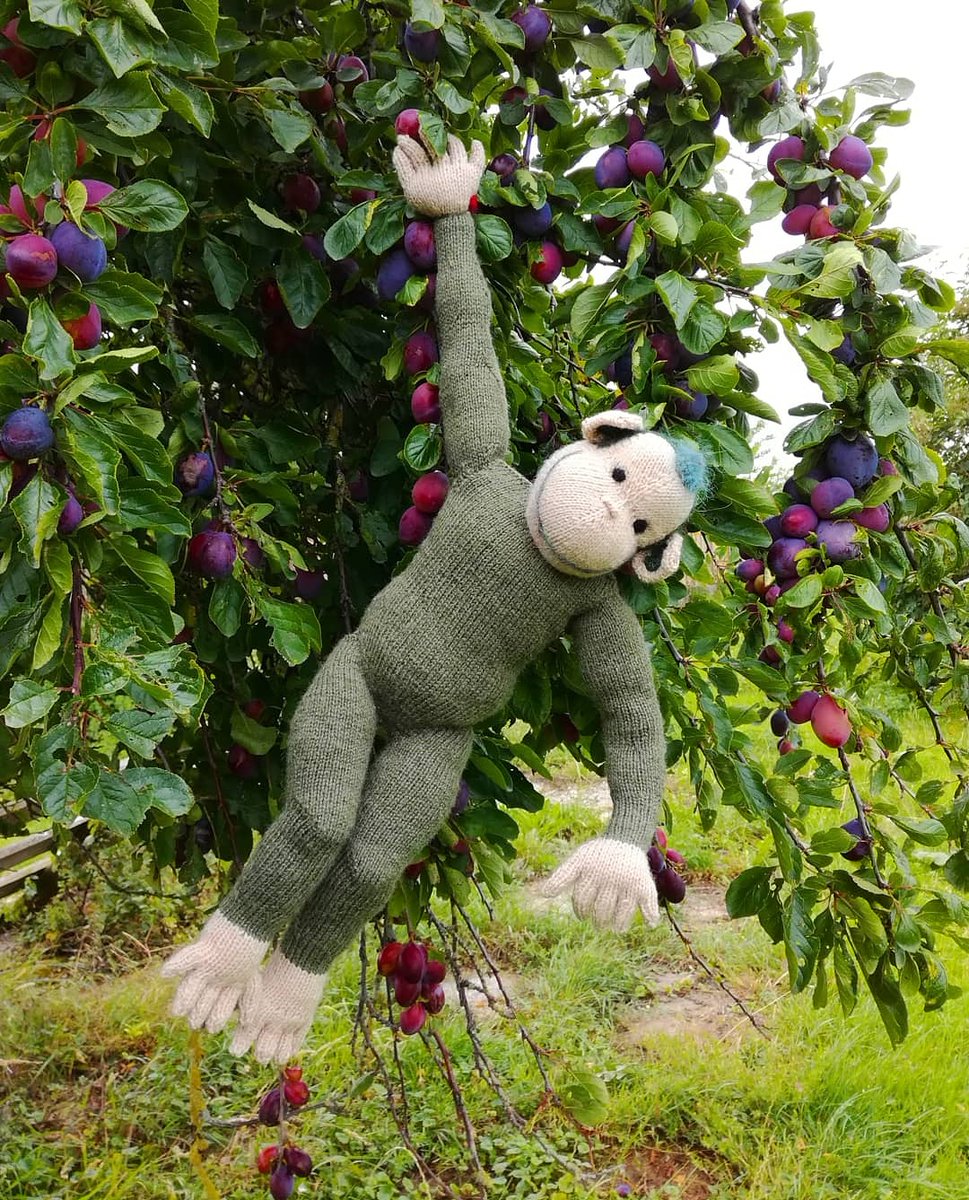 ZaraHart3's tweet photo. Gumby the chimp loves climbing up trees! 
#knitting #knitted #knittinglove #loveknitting #knittingfun #knittingismyyoga #climbing #chimpazee #chimp #nature #lovenature #handmadebest #madetoorder https://t.co/ROG6WaJRyb