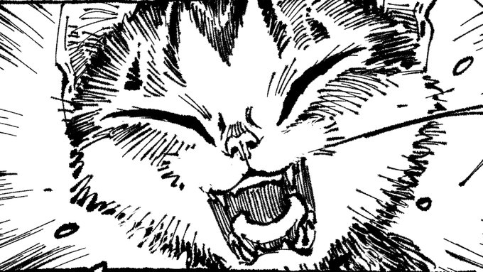 意味や価値のわからないことを無理に描いても本物は描けない。描けないものは描かなくていいんだよね。
編集さんに言われても、漫画入門本に書いてあっても、わからないならそれは描かないがいいよ。
魂の命ずるまんまでね。 