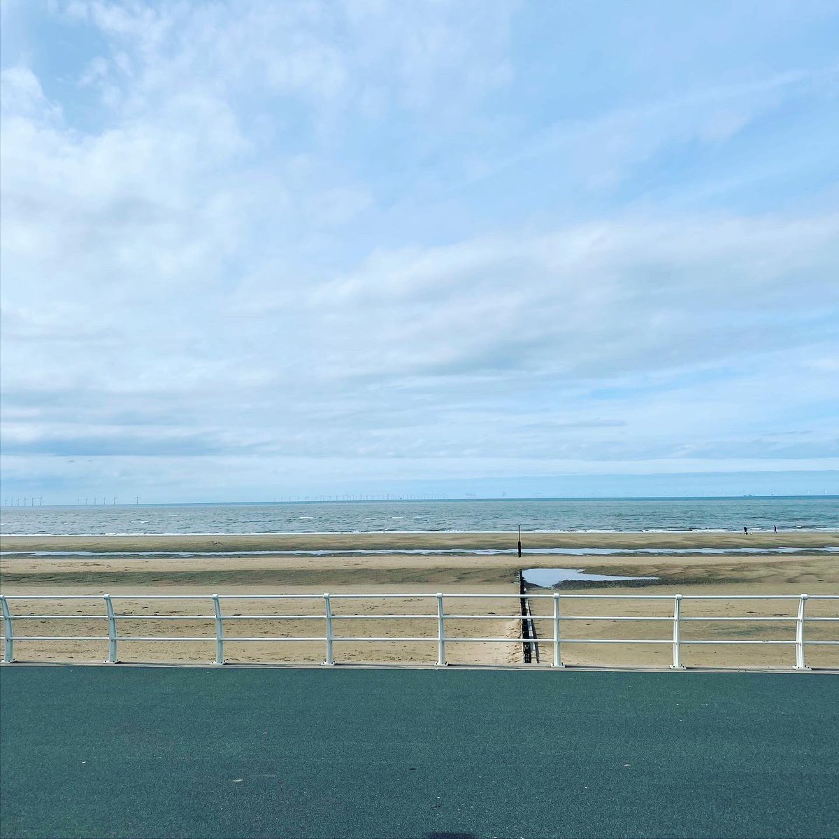 AmaSing💙🌈 🦩 tweet media