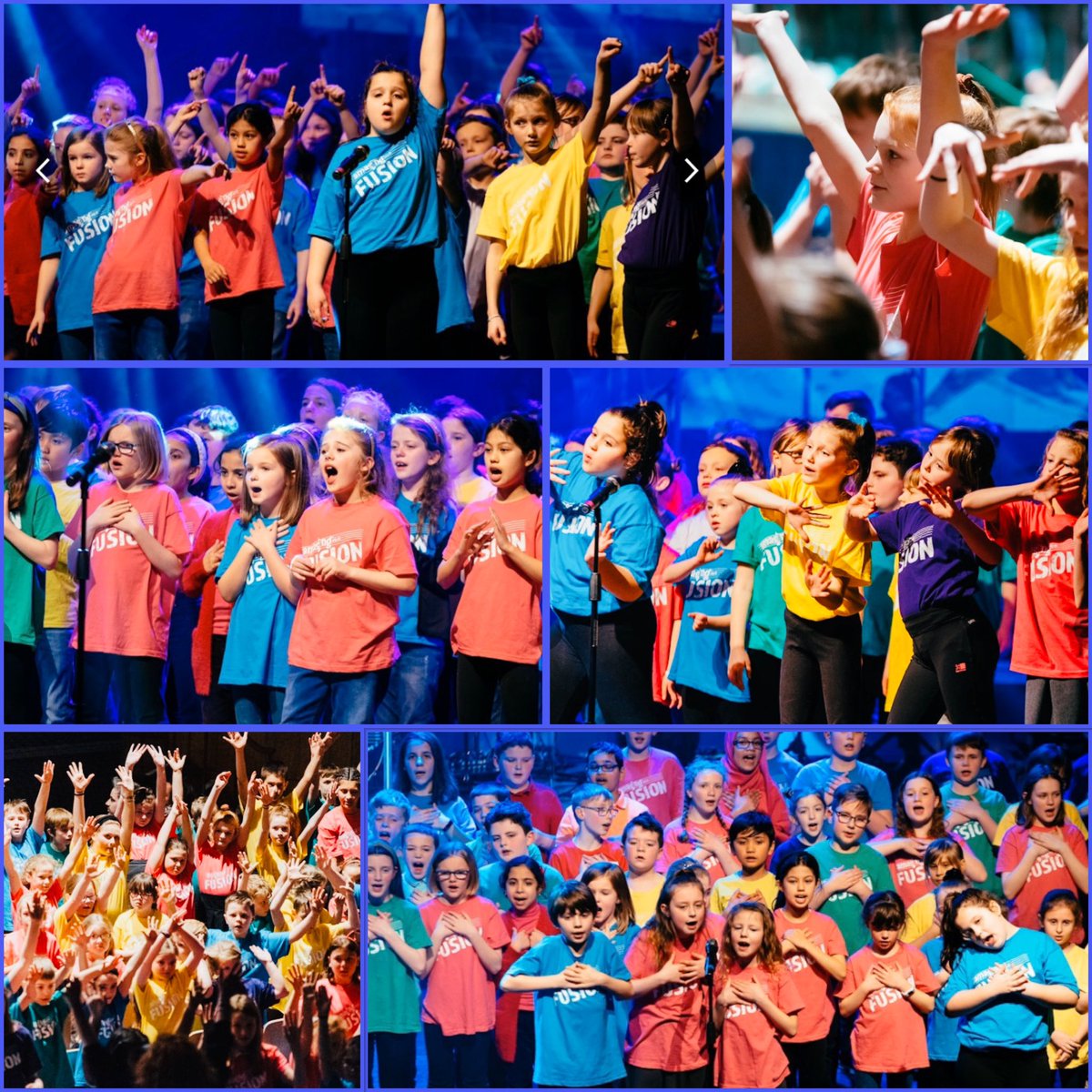 AmaSing💙🌈 🦩 tweet media