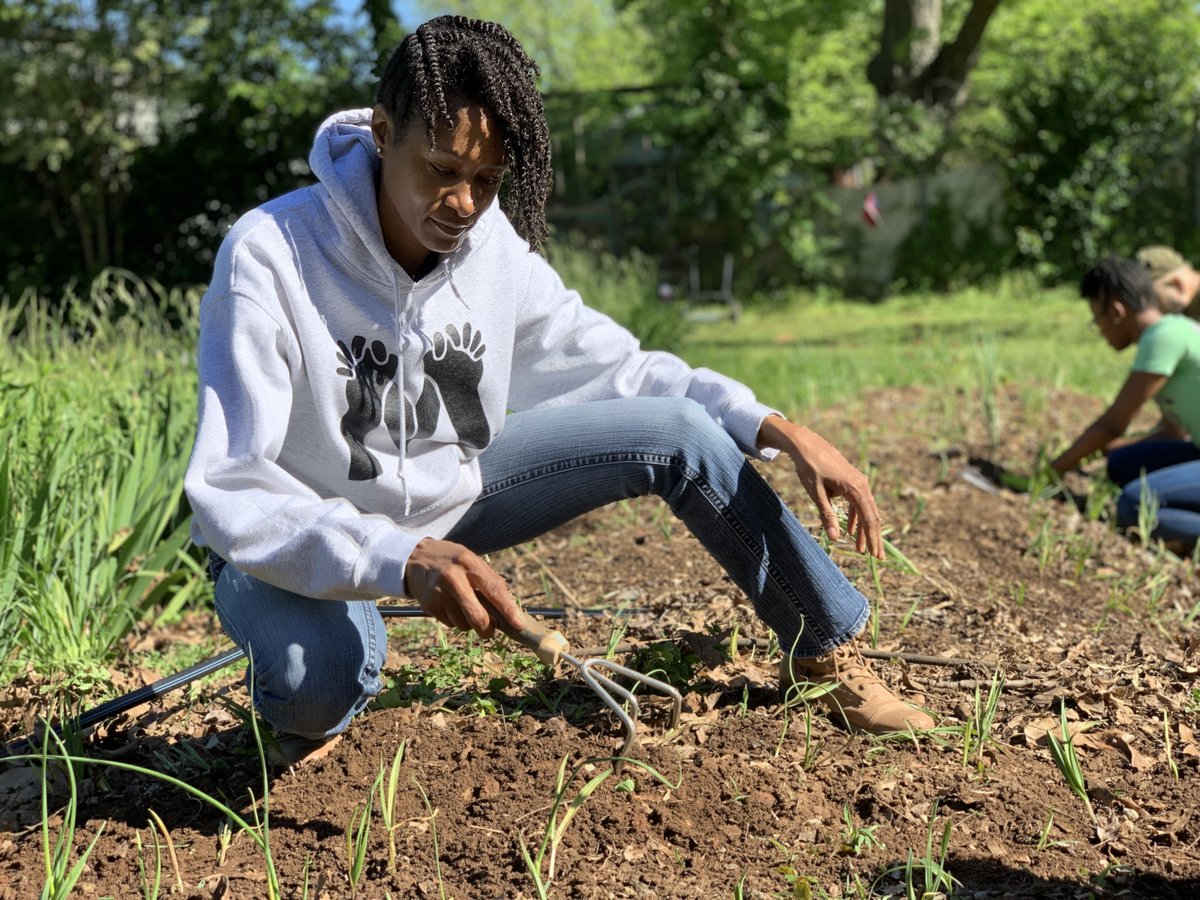 Clare Lindahl tweet media